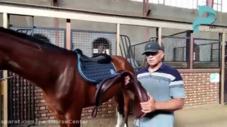 آموزش استفاده از زین اسب در مجله جیملی