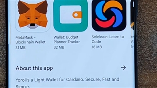 استیک آدا در کیف پول یورویی ولت Yoroi wallet