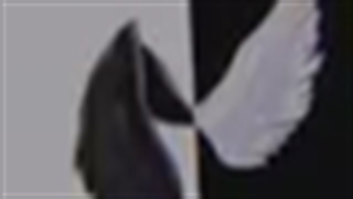 گروه خفن واتساپ لینکش تو کپشنه