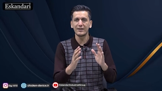 بعد از تولد به جوجه یک روزه غذا ندهیم ؟