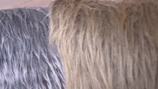 کاور کوسن خزینه ۴۰*۴۰