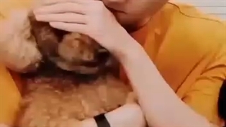 سهون.Sehun.세훈