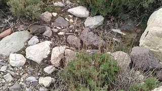 سنگ