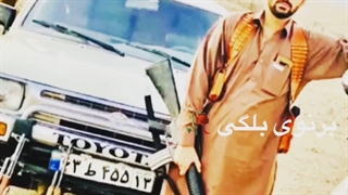 عکس از شعیب شهنوازی