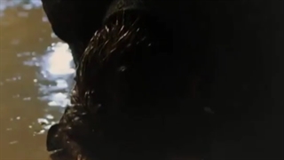 میکس کره ای