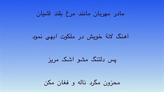 مادر مهربان