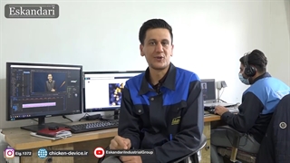 روش های جلوگیری از توله مرگ شدن جوجه (قسمت دوم)