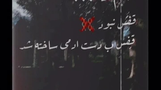 سهم ما قفس نبود:)!