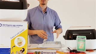 تعداد تخم 12 تایی09190951834