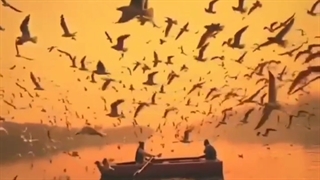 آهنگ جدید (آلزایمر)  Ebi Dolabi_ Alzaymer (ebrahim.muzic)