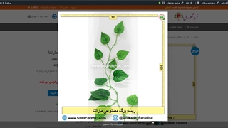 ریسه های برگ مصنوعی مارانتا