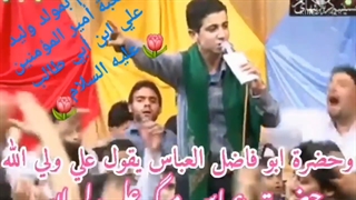 علی ولی الله.مرحوم سیدمحمدباقرعلوی