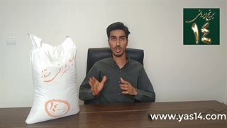 برنج کشت دوم