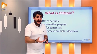 شتکوین چیست | نحوه تشخیص شتکوینها در بازار کریپتو