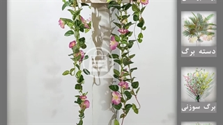 گل آویز اطلسی مینیاتور صورتی