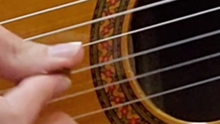 اجرای بینظیر گیتار استاد امیر کریمی