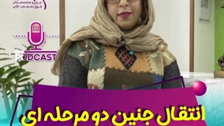 انتقال جنین دو مرحله ای