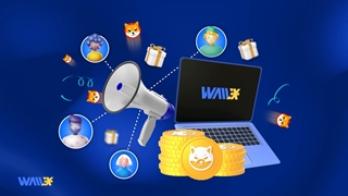 یک دوستی پرسود در والکس