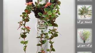 حلقه آویزی شمعدانی گل بهی