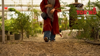 روز درختکاری با تورینوپلاس