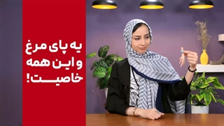 خواص شگفت انگیز پای مرغ[در مورد خاصیت پای مرغ چی شنیدی؟]