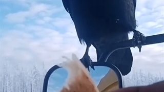 راننده مهربون