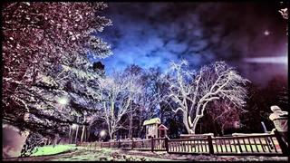 سفر به جمهوری چک بدون محدویت واکسن