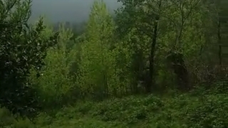 مناظری دیگر تقدیم شما (کپشنم خواستین بخونید)