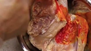 طرز تهیه جوجه طلایی با مستر فود