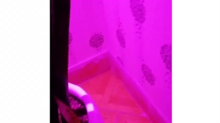 تاثیر لامپ رشد گیاه روی سانسوریا و بنجامین