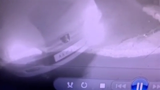 سرقت زانتیا با روشی عجیب