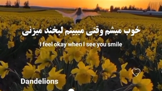 چون من تو مزرعه قاصدک هام :)