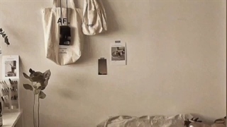 ☆.。.:*・°☆.。.:*・°☆.。.:*・°☆.。.:*