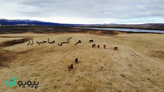 شعر فارسی مایه اصل و نسب در گردش دوران زر است