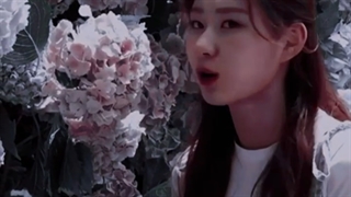 KOREAN         ویدیو