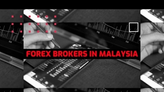 Best MT4 Forex Brokers In Malaysia - Forex Brokers | Loginuncle.org