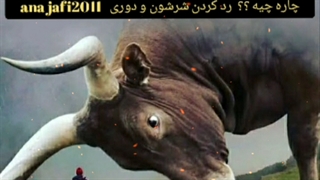 اندر حکایت شکات نادان دادگاه ها و شاکیان حرفه ای