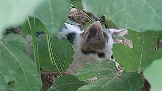 عاشقشممممم