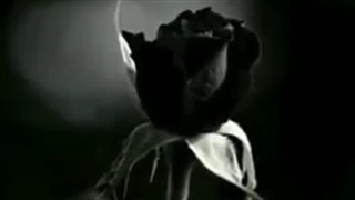 آهنگ غمگین - آهنگ عاشقانه - کلیپ عاشقانه - دلنوشته غمگین