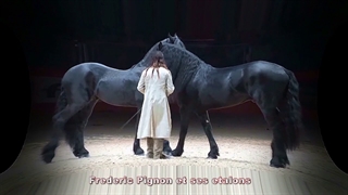 سیرک - نمایش اسب ها