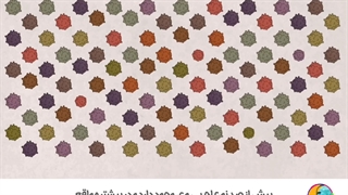 همه چیز درباره زگیل تناسلی | دکتر دیانا حسینی متخصص زگیل تناسلی بانوان مشهد