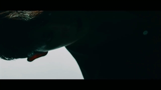 موزیک ویدیو کره ای