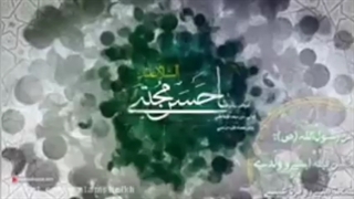 از جمله فضائل امام حسن مجتبی علیه السلام
