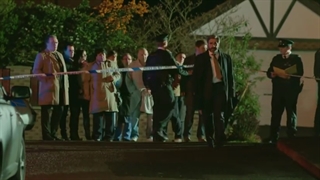 تریلر سریال The Fall