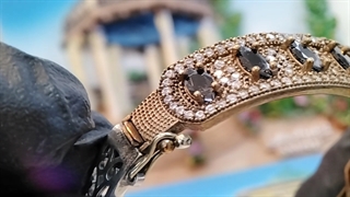 گل سیلور (خرید نقره)(خرید نقره جات)(نقره فروشی)(فروش نقره)