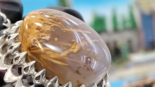 گل سیلور (خرید نقره)(خرید نقره جات)(نقره فروشی)(فروش نقره)