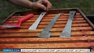 آموزش زنبورداری حرفه ای - آموزش زنبورداری - روش یافتن ملکه