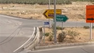 پروژه لوکس و برند اسپرلوس/چیتگر