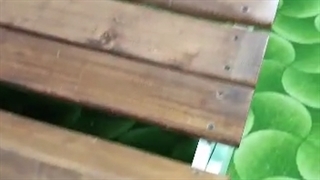 تخت کنار استخر چوبی