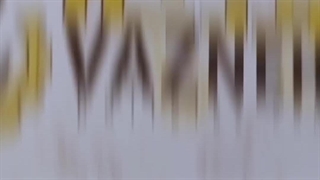 رکتی فایر جرثقیل اشتال/برند مایر_STAHL